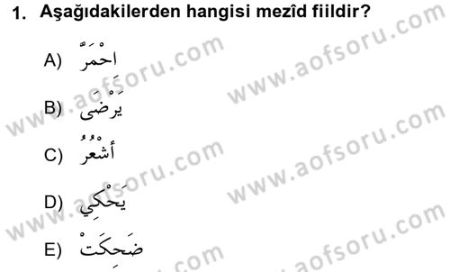 Arapça 3 Dersi 2017 - 2018 Yılı (Vize) Ara Sınav Soruları 1. Soru