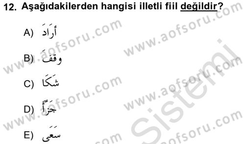 Arapça 3 Dersi 2017 - 2018 Yılı (Vize) Ara Sınav Soruları 12. Soru