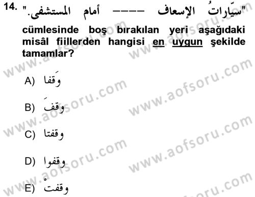 Arapça 3 Dersi 2017 - 2018 Yılı (Vize) Ara Sınav Soruları 14. Soru