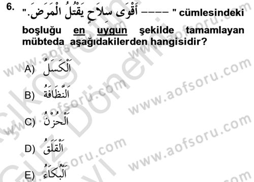 Arapça 3 Dersi 2017 - 2018 Yılı (Vize) Ara Sınav Soruları 6. Soru