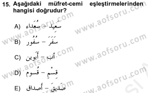 Arapça 3 Dersi 2017 - 2018 Yılı (Final) Dönem Sonu Sınav Soruları 15. Soru