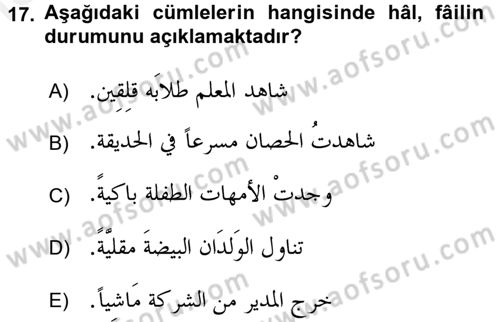 Arapça 3 Dersi 2017 - 2018 Yılı (Final) Dönem Sonu Sınav Soruları 17. Soru