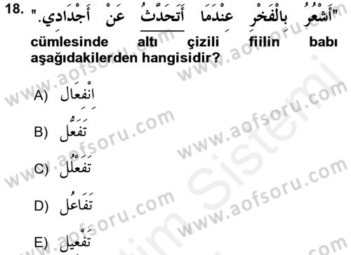 Arapça 3 Dersi 2017 - 2018 Yılı (Final) Dönem Sonu Sınav Soruları 18. Soru