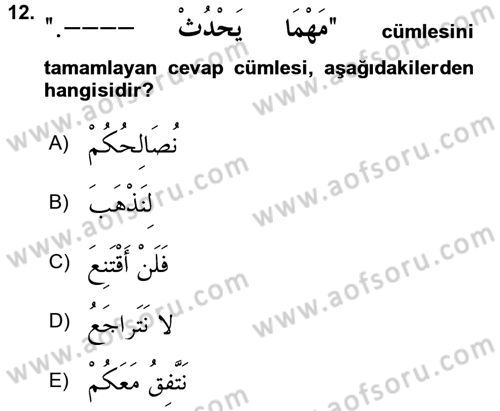 Arapça 3 Dersi 2018 - 2019 Yılı 3 Ders Sınav Soruları 12. Soru