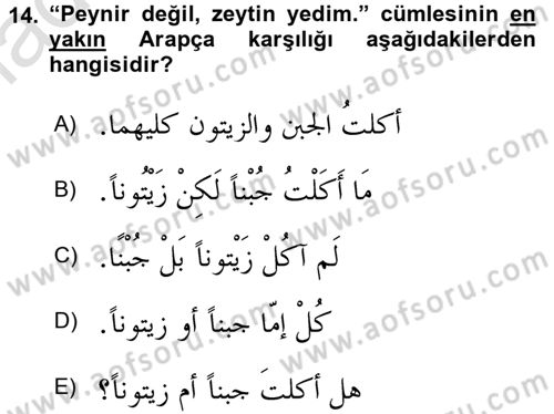 Arapça 3 Dersi 2018 - 2019 Yılı 3 Ders Sınav Soruları 14. Soru