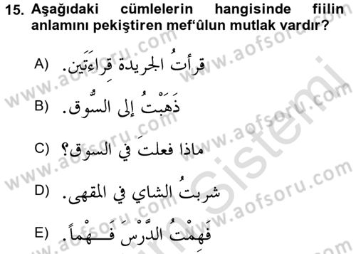 Arapça 3 Dersi 2018 - 2019 Yılı 3 Ders Sınav Soruları 15. Soru