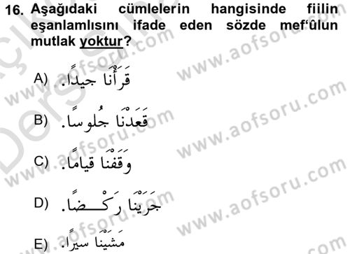 Arapça 3 Dersi 2018 - 2019 Yılı 3 Ders Sınav Soruları 16. Soru