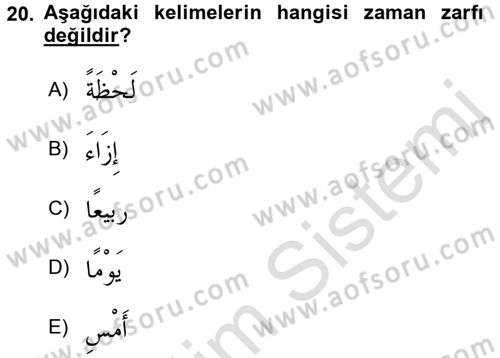 Arapça 3 Dersi 2018 - 2019 Yılı 3 Ders Sınav Soruları 20. Soru