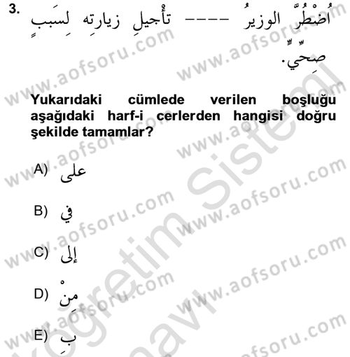 Arapça 3 Dersi 2018 - 2019 Yılı 3 Ders Sınav Soruları 3. Soru