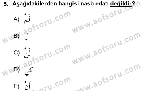 Arapça 3 Dersi 2018 - 2019 Yılı 3 Ders Sınav Soruları 5. Soru