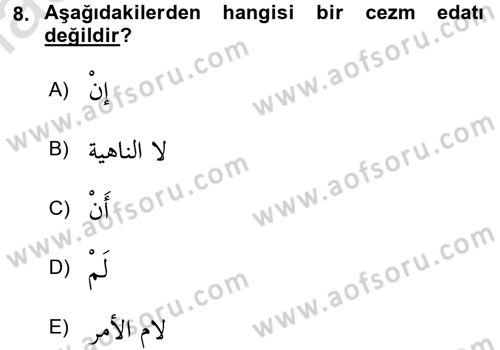 Arapça 3 Dersi 2018 - 2019 Yılı 3 Ders Sınav Soruları 8. Soru