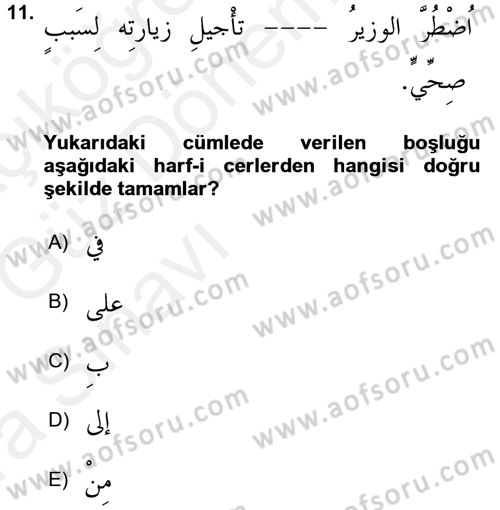 Arapça 3 Dersi Ara Sınavı Deneme Sınav Soruları 11. Soru
