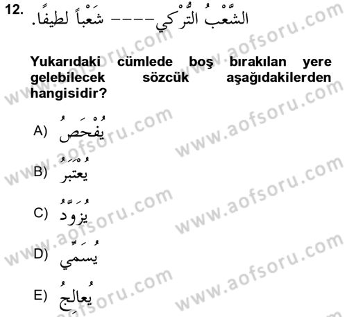 Arapça 3 Dersi Ara Sınavı Deneme Sınav Soruları 12. Soru