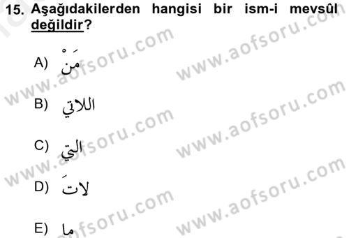 Arapça 3 Dersi 2018 - 2019 Yılı (Vize) Ara Sınav Soruları 15. Soru
