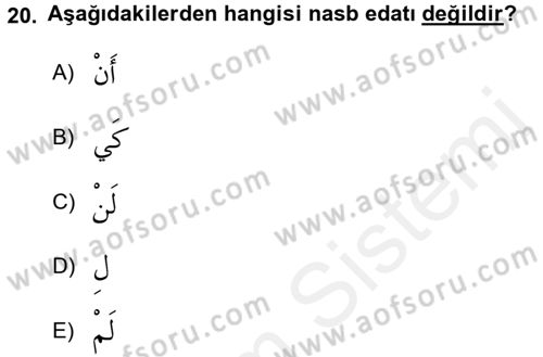 Arapça 3 Dersi 2018 - 2019 Yılı (Vize) Ara Sınav Soruları 20. Soru