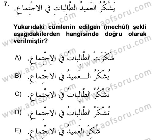 Arapça 3 Dersi Ara Sınavı Deneme Sınav Soruları 7. Soru