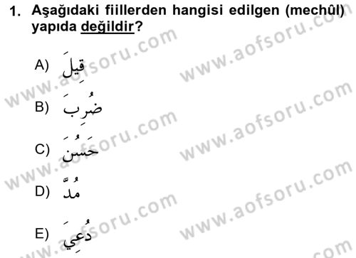 Arapça 3 Dersi 2018 - 2019 Yılı (Final) Dönem Sonu Sınav Soruları 1. Soru