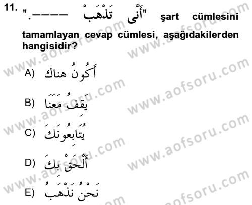 Arapça 3 Dersi 2018 - 2019 Yılı (Final) Dönem Sonu Sınav Soruları 11. Soru