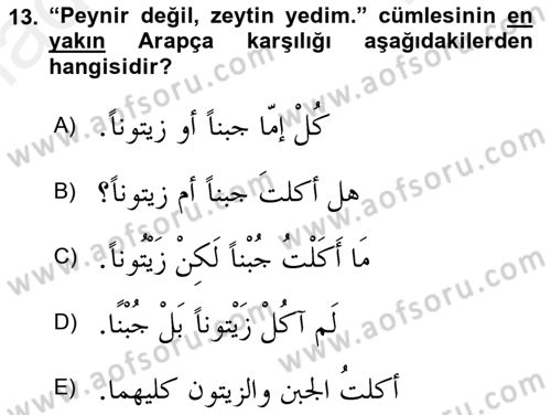 Arapça 3 Dersi 2018 - 2019 Yılı (Final) Dönem Sonu Sınav Soruları 13. Soru