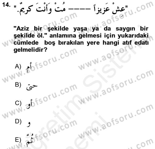 Arapça 3 Dersi 2018 - 2019 Yılı (Final) Dönem Sonu Sınav Soruları 14. Soru