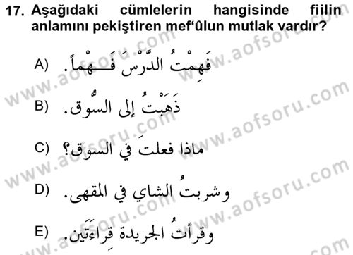 Arapça 3 Dersi 2018 - 2019 Yılı (Final) Dönem Sonu Sınav Soruları 17. Soru