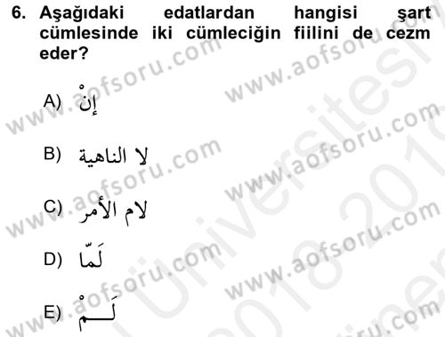 Arapça 3 Dersi 2018 - 2019 Yılı (Final) Dönem Sonu Sınav Soruları 6. Soru