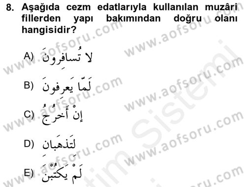 Arapça 3 Dersi 2018 - 2019 Yılı (Final) Dönem Sonu Sınav Soruları 8. Soru