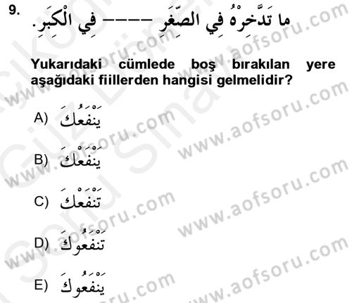 Arapça 3 Dersi 2018 - 2019 Yılı (Final) Dönem Sonu Sınav Soruları 9. Soru
