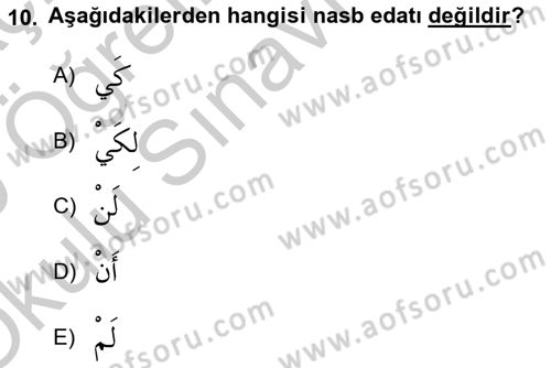 Arapça 3 Dersi 2018 - 2019 Yılı Yaz Okulu Sınav Soruları 10. Soru