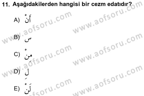 Arapça 3 Dersi 2018 - 2019 Yılı Yaz Okulu Sınav Soruları 11. Soru