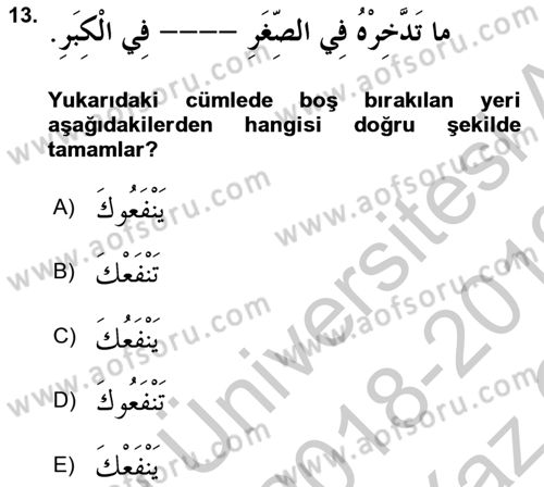 Arapça 3 Dersi 2018 - 2019 Yılı Yaz Okulu Sınav Soruları 13. Soru