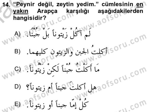 Arapça 3 Dersi 2018 - 2019 Yılı Yaz Okulu Sınav Soruları 14. Soru