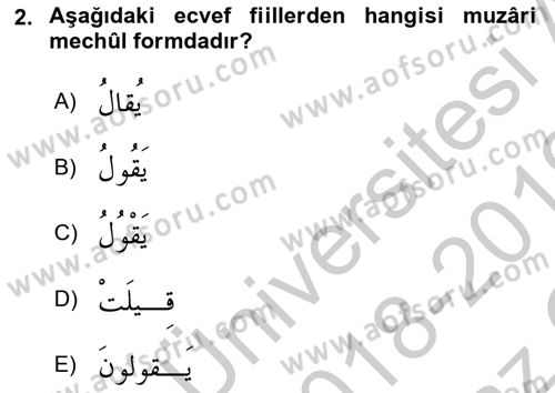 Arapça 3 Dersi 2018 - 2019 Yılı Yaz Okulu Sınav Soruları 2. Soru