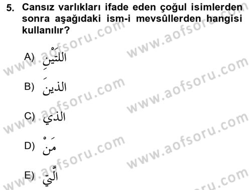 Arapça 3 Dersi 2018 - 2019 Yılı Yaz Okulu Sınav Soruları 5. Soru