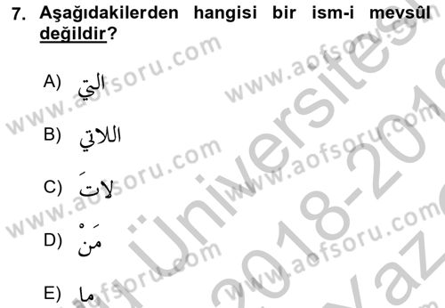 Arapça 3 Dersi 2018 - 2019 Yılı Yaz Okulu Sınav Soruları 7. Soru