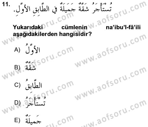 Arapça 3 Dersi 2019 - 2020 Yılı (Vize) Ara Sınav Soruları 11. Soru