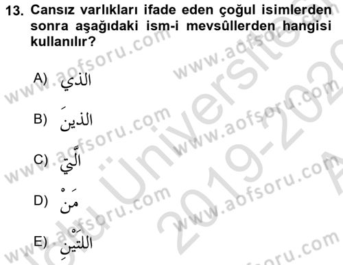 Arapça 3 Dersi 2019 - 2020 Yılı (Vize) Ara Sınav Soruları 13. Soru