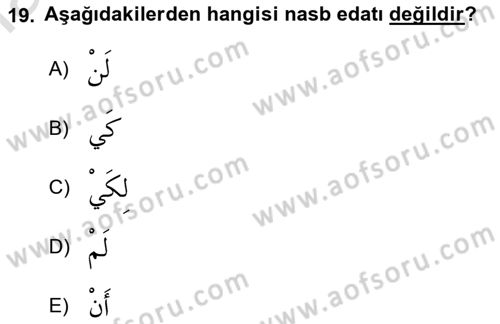 Arapça 3 Dersi 2019 - 2020 Yılı (Vize) Ara Sınav Soruları 19. Soru