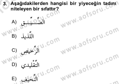 Arapça 3 Dersi 2019 - 2020 Yılı (Vize) Ara Sınav Soruları 3. Soru