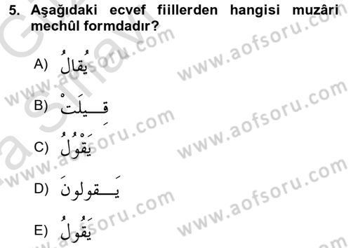 Arapça 3 Dersi 2019 - 2020 Yılı (Vize) Ara Sınav Soruları 5. Soru