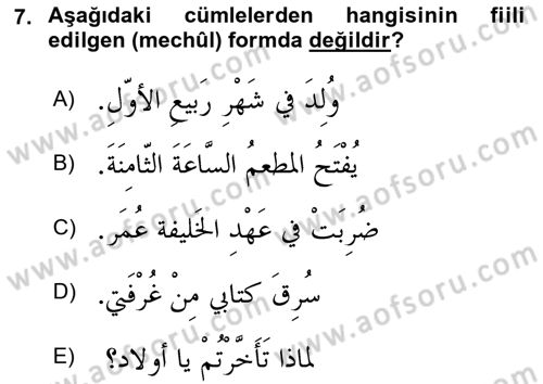 Arapça 3 Dersi 2019 - 2020 Yılı (Vize) Ara Sınav Soruları 7. Soru