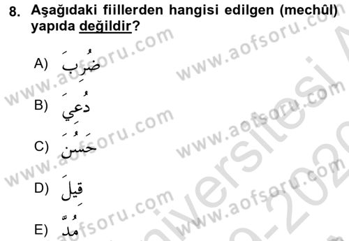 Arapça 3 Dersi 2019 - 2020 Yılı (Vize) Ara Sınav Soruları 8. Soru