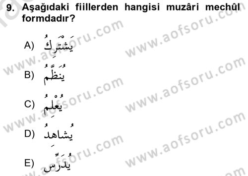 Arapça 3 Dersi 2019 - 2020 Yılı (Vize) Ara Sınav Soruları 9. Soru