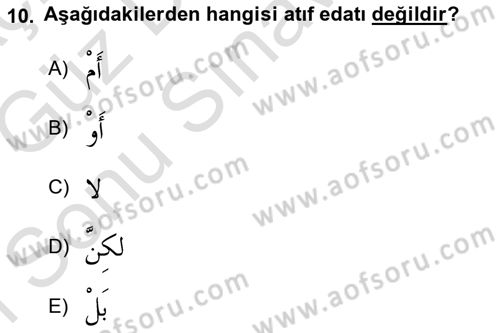 Arapça 3 Dersi 2019 - 2020 Yılı (Final) Dönem Sonu Sınav Soruları 10. Soru