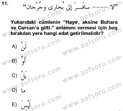Arapça 3 Dersi 2019 - 2020 Yılı (Final) Dönem Sonu Sınav Soruları 11. Soru