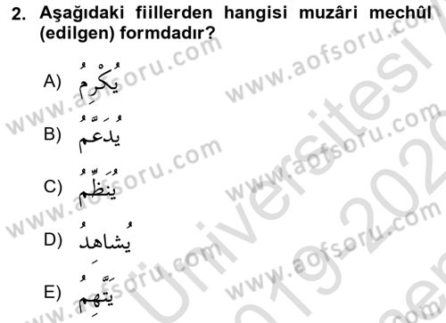 Arapça 3 Dersi 2019 - 2020 Yılı (Final) Dönem Sonu Sınav Soruları 2. Soru