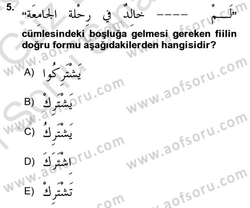 Arapça 3 Dersi 2019 - 2020 Yılı (Final) Dönem Sonu Sınav Soruları 5. Soru