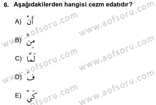 Arapça 3 Dersi 2019 - 2020 Yılı (Final) Dönem Sonu Sınav Soruları 6. Soru