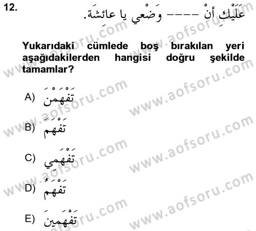 Arapça 3 Dersi 2020 - 2021 Yılı Yaz Okulu Sınav Soruları 12. Soru