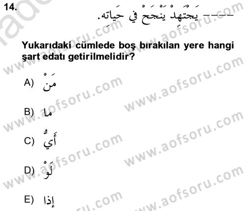 Arapça 3 Dersi 2020 - 2021 Yılı Yaz Okulu Sınav Soruları 14. Soru